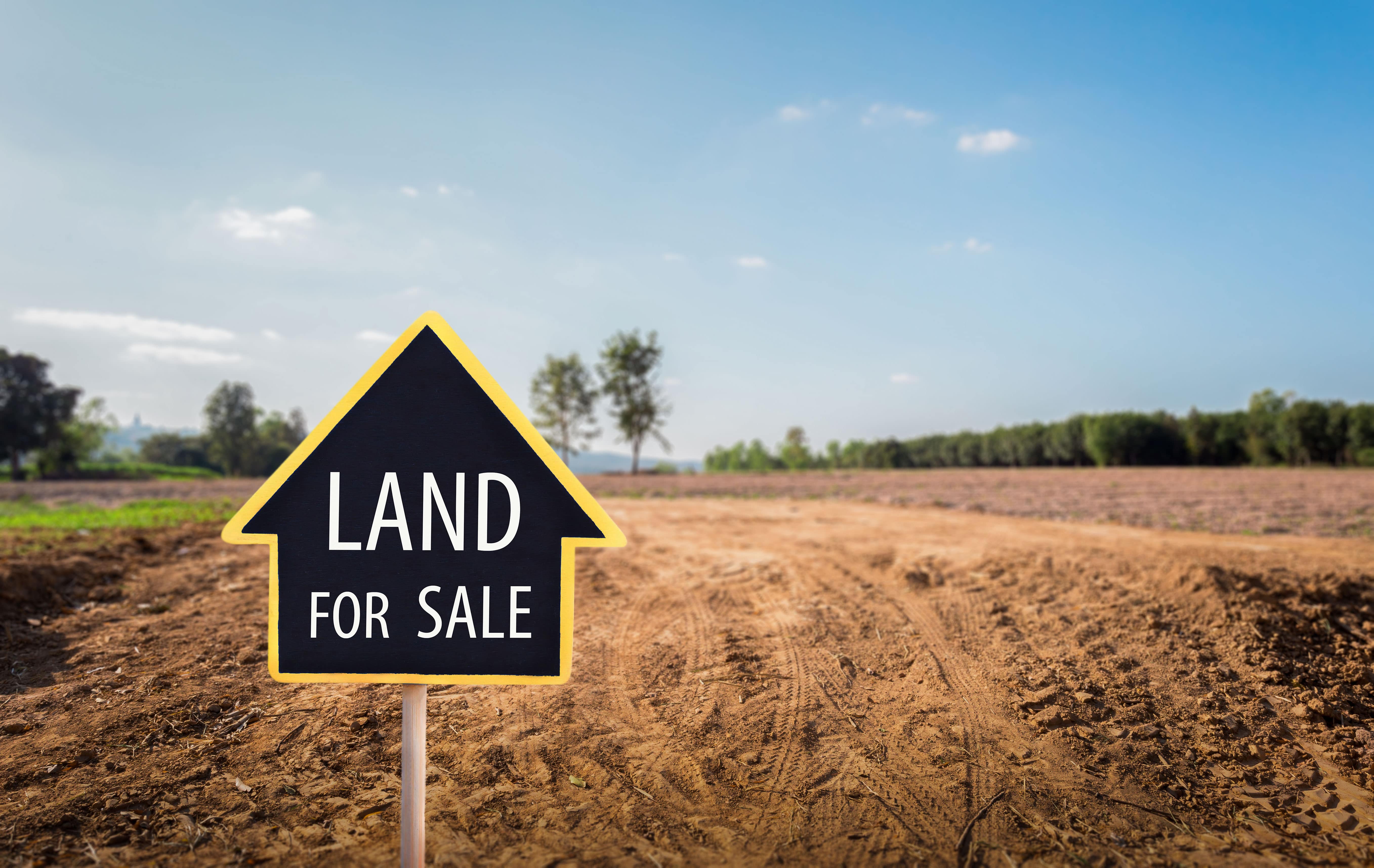 Planning To Buy Plots In 2022? Here Is An Expert Guide